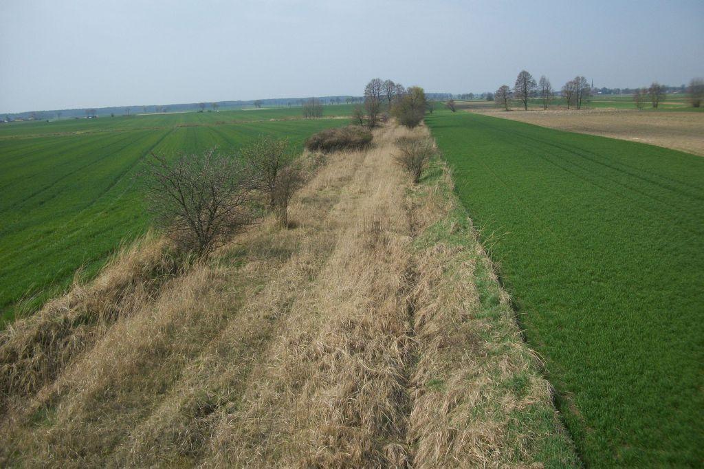 fot. Krzysztof Brankowski 
Trasa linii Bukowa Śląska - Syców między Głuszyną, a Smogorzowem; widok w kierunku Smogorzowa - 2014.04.02. Obraz