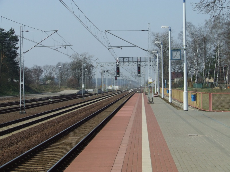 fot. Trejser 
Widok z peronu pierwszego w kierunku Rzepina. Obraz