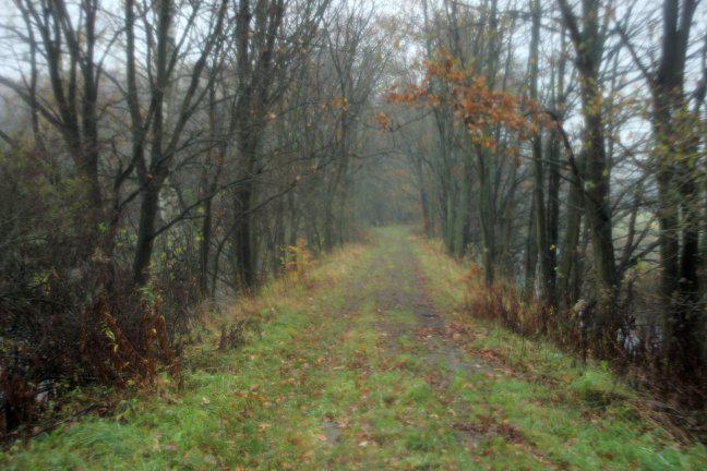 fot. octanq 
Ostatni z przejezdnych odcinków Gadom - Samlino Odg., w tym miejscu po lewej i po prawej jezioro; Obraz