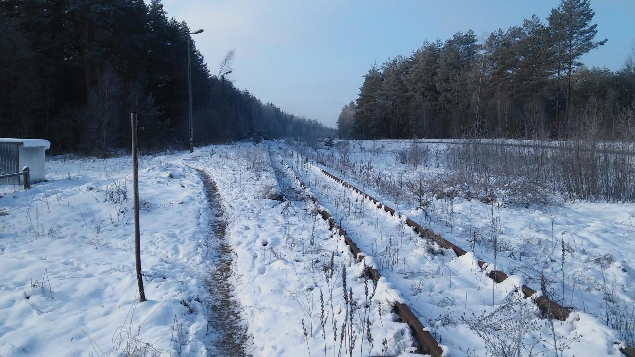 fot. Paweł 
Widok na peron. Obraz