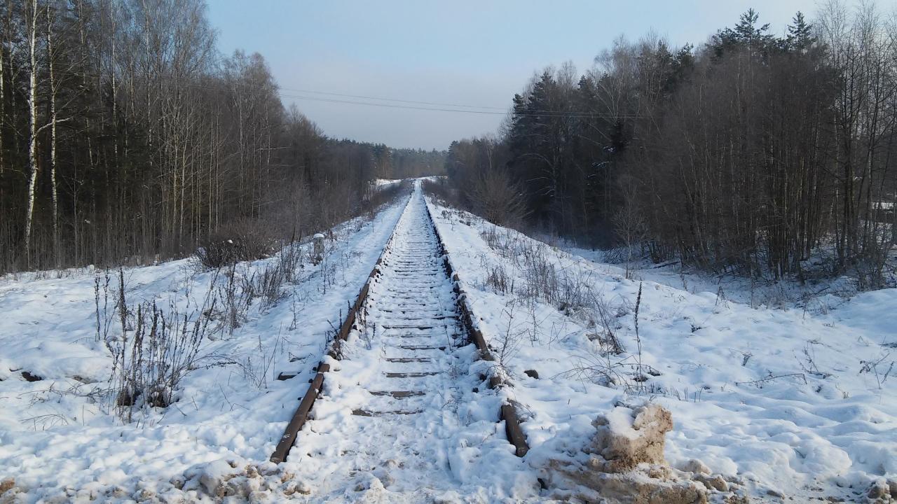 fot. Paweł 
Widok z przejazdu w km 26,877 na kierunek do Walił. Obraz