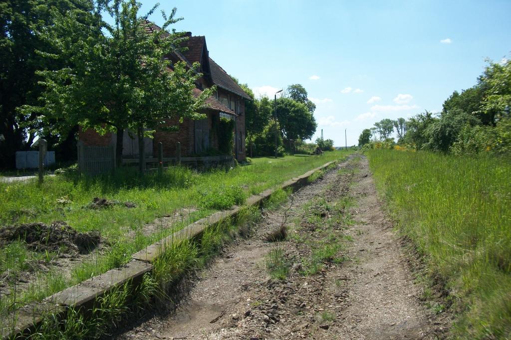 fot. Krzysztof Brankowski 
Krawędź peronowa na stacji Laski-Smardze, widok w stronę Namysłowa. Obraz