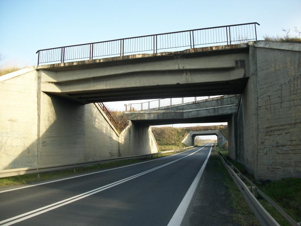 fot. Krzysztof Brankowski 
Zestaw trzech wiaduktów nad drogą krajową nr 8 w Ząbkowicach Śląskich. Na pierwszym planie linia nr 318 Ząbkowice Śląskie Dworzec Mały - Srebrna Góra. Pośrodku linia nr 320 Kondratowice Dworzec Mały - Ząbkowice Śląskie Dworzec Mały. Z tyłu linia nr 137 Katowice - Legnica. Obraz