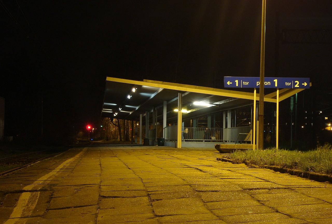 fot. Łukasz Domański 
Widok na peron w kierunku Chorzowa Batorego. Obraz