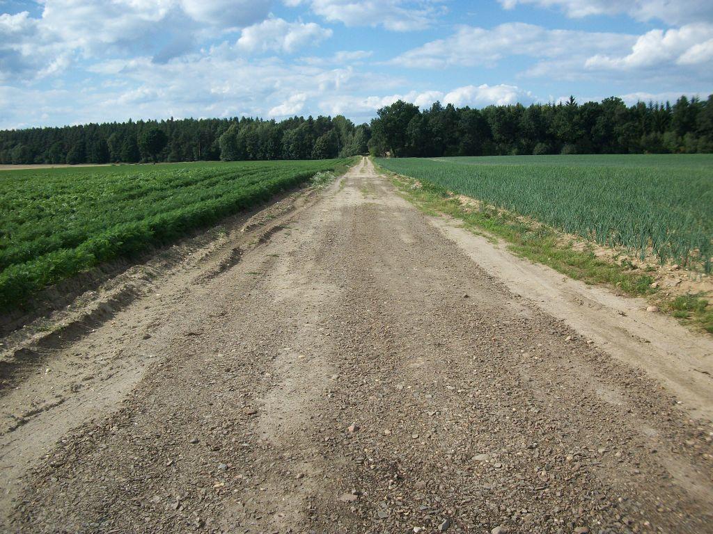 fot. Krzysztof Brankowski 
Dawne torowisko pomiędzy Wartą Złotnicką i Kruszynkiem - widok w stronę Bolesławca. Obraz