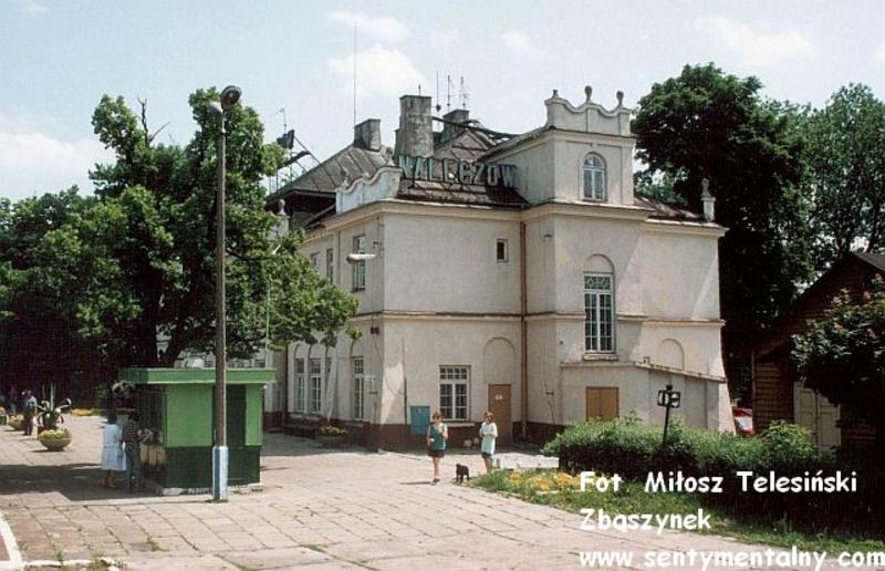 fot. Miłosz Telesiński - Zbąszynek 
Stacja Nałęczów 19.06.1992 Obraz