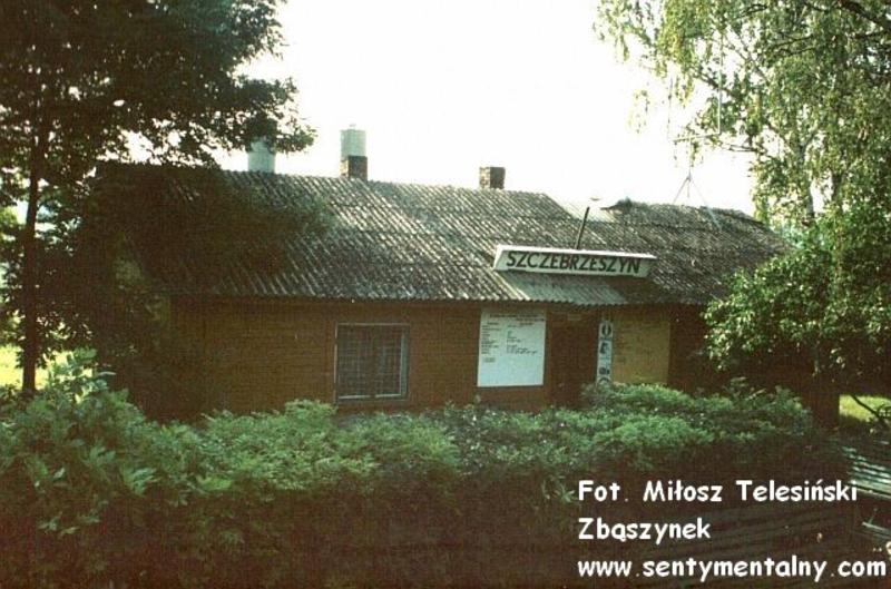 fot. Miłosz Telesiński - Zbąszynek 
Stacja Szczebrzeszyn 20.06.1992. Obraz