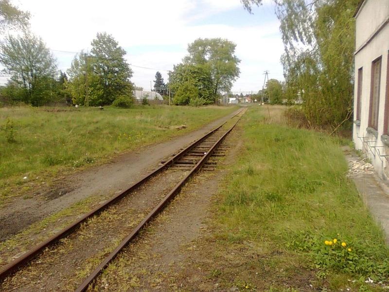 fot. Kuba Klusek 
Widok w kierunku Rogowa Osobowego Wąskotorowego. Obraz