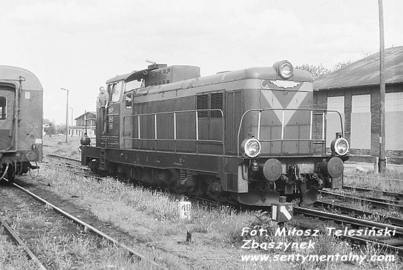 fot. Miłosz Telesiński - Zbąszynek 
Stacja Myślibórz 24.05.1990. Obraz