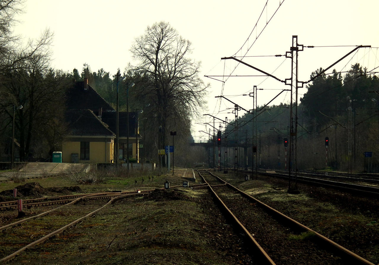 fot. andrzejkoza 
Widok w kierunku Kłobucka. Obraz