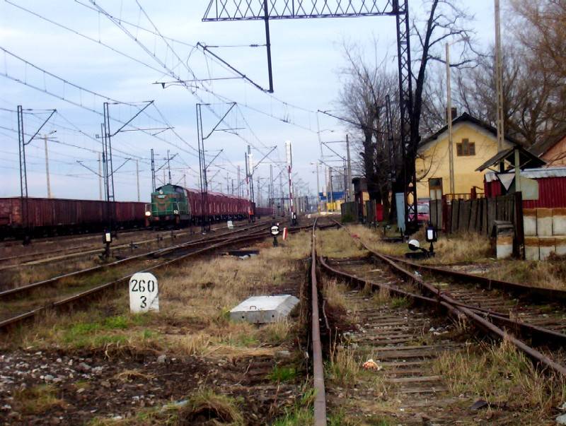 fot. ukosnik 
 Obraz