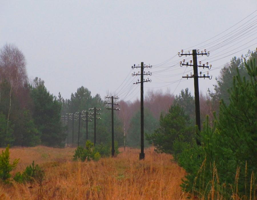 fot. DB
Słupy telefoniczne przy zarośniętym torze z Drawskiego Młyna do Wielenia Południowego, dalej Bzowa Goraja. Obraz