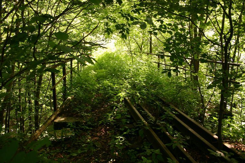 fot. Wojciech Gross 
Drugi most nad Górną Solinką. Dwa kilometry za pierwszym. Ale o ile poprzedni most można jeszcze zobaczyć z drogi, ten jest zupełnie niedostępny. Schowany głęboko w lesie i tak zarośnięty, że idąc po torach, można go przegapić. Ponadto okolica jest rezerwatem i oficjalnie wchodzić tam nie wolno. Obraz