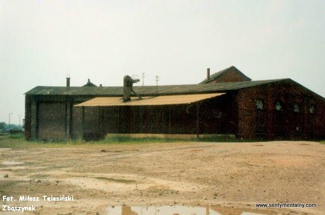 fot. Miłosz Telesiński - Zbąszynek 
Lokomotywownia w Bełżcu 23.06.1992. Obraz