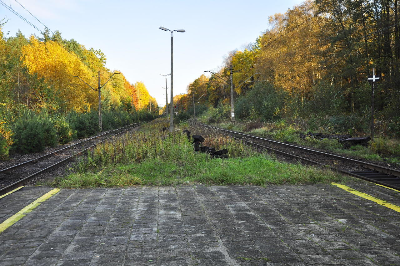fot. Robert Końpa 
Widok w kierunku Żor. Obraz