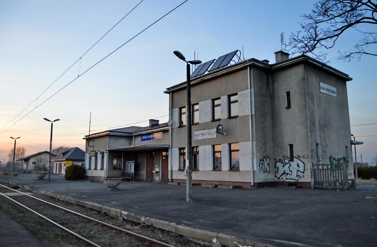 fot. Tomasz 
Biała Pajęczańska. Obraz