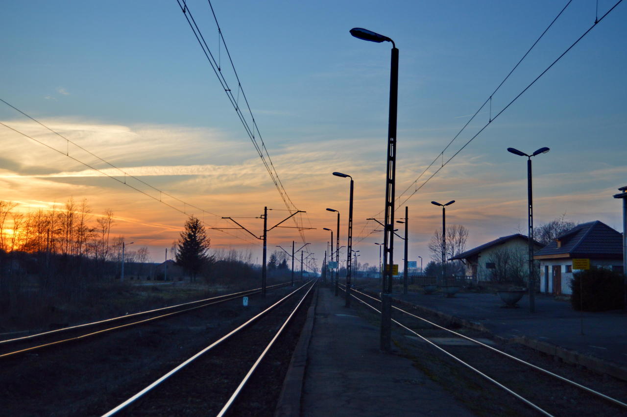 fot. Tomasz 
Biała Pajęczańska. Obraz