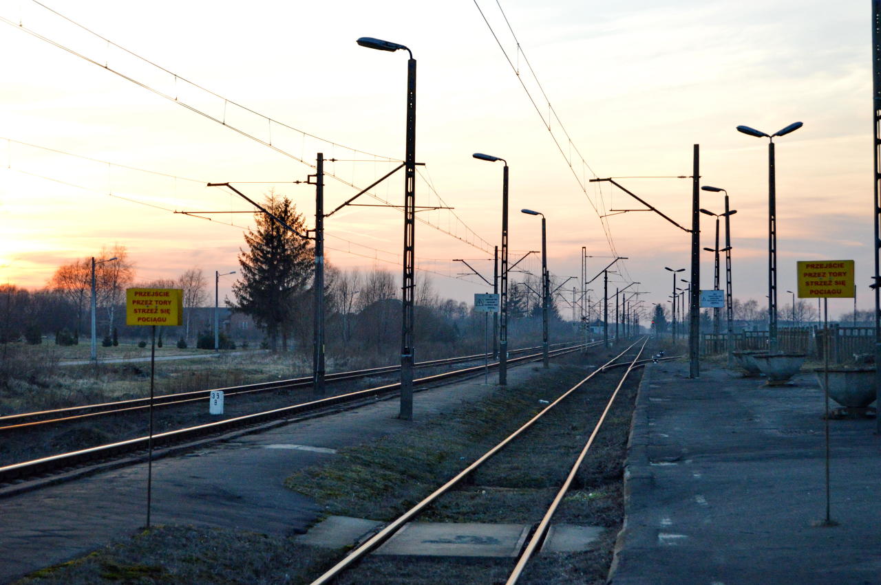 fot. Tomasz 
Biała Pajęczańska. Obraz