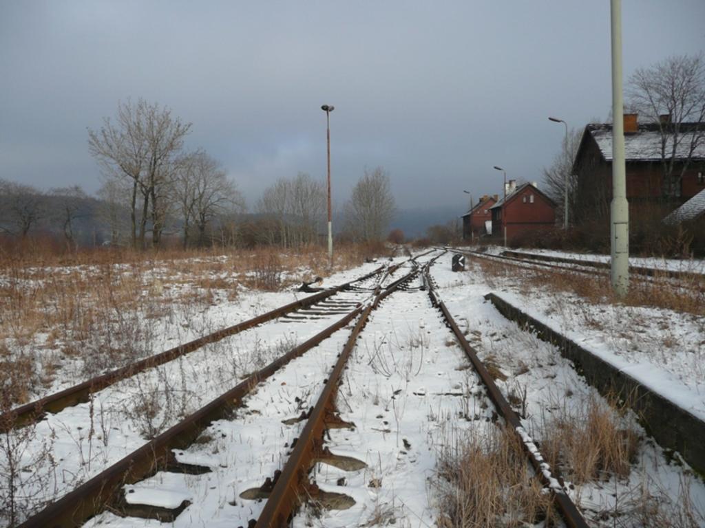 fot. Marek M. 
Niszczejące torowisko i zwrotnice na stacji Stronie Śląskie. Obraz