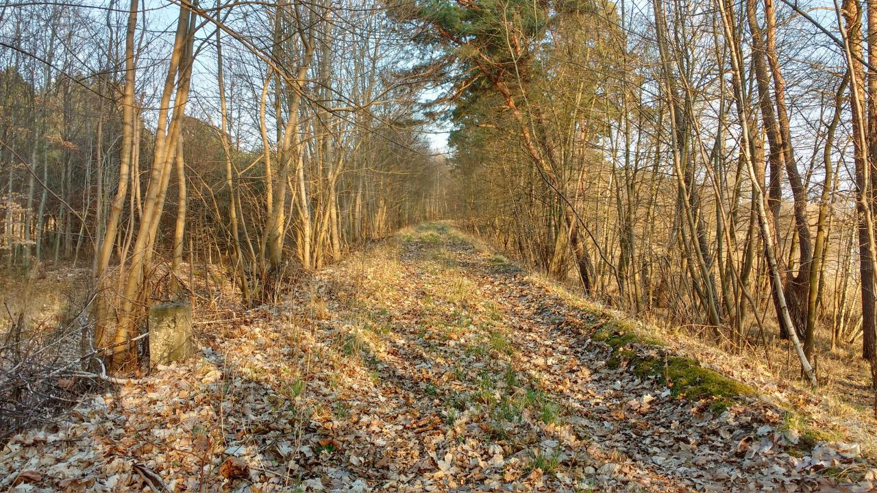 fot. djSon 
Nasypem do Chwarstnicy. Piękna, malownicza sceneria... Wyremontować szlak do 60-70 km/h, odbudować tartaki, wzmocnić rolnictwo i linia jak znalazł... Nawet PKS Obraz