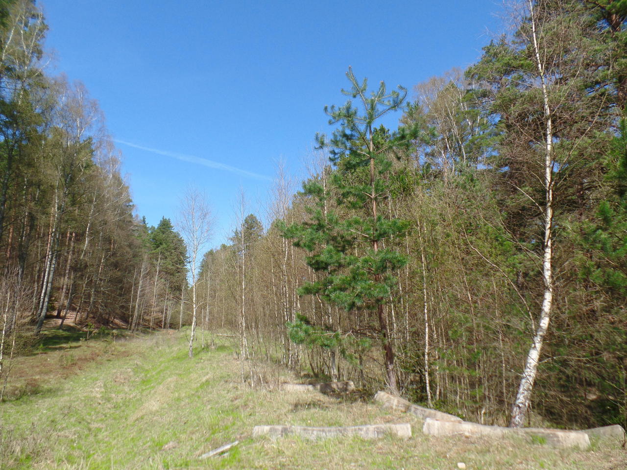 fot. Adam Matuszek 
Zawieszona linia kolejowa nr 229 niedaleko wiaduktu kolejowego w Karczemkach. Prosto nasyp prowadzi do Lęborka. Oczywiście - praktycznie na całym odcinku Lębork - Rozłazino torów brak. Obraz
