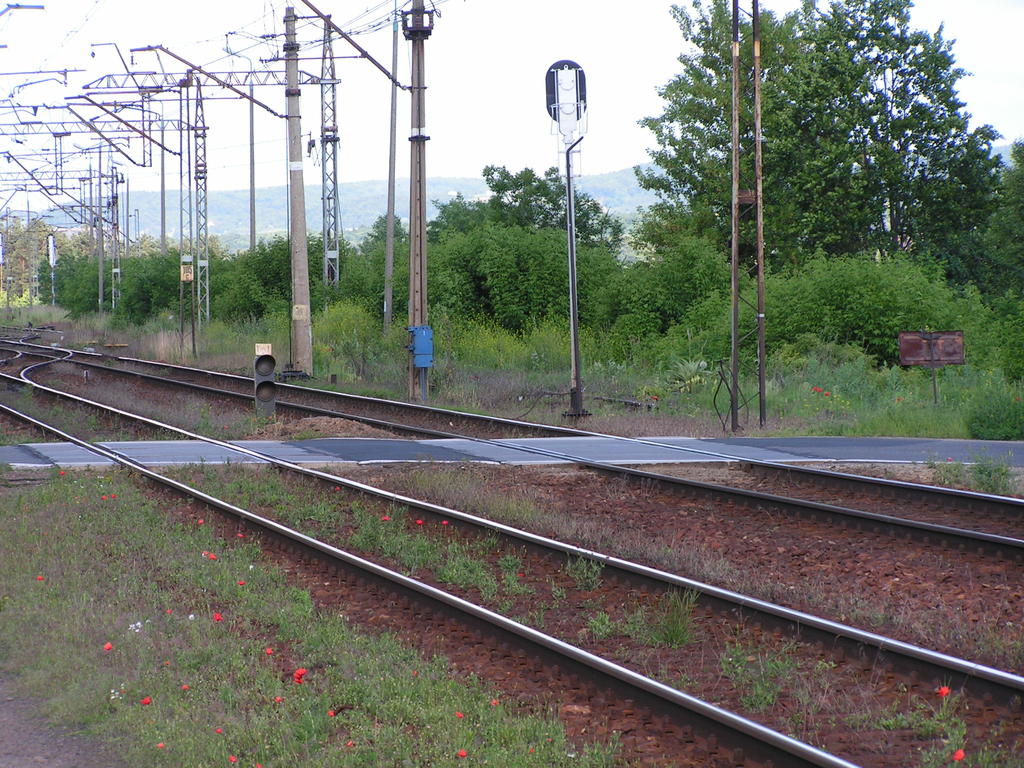 fot. Przemysław Więcek 
Bocznica do Zakładu Ogrodniczego Przyborów sp. z o.o. Przejazd drogowy w Grabinach. Ok. 0,4 km. Obraz