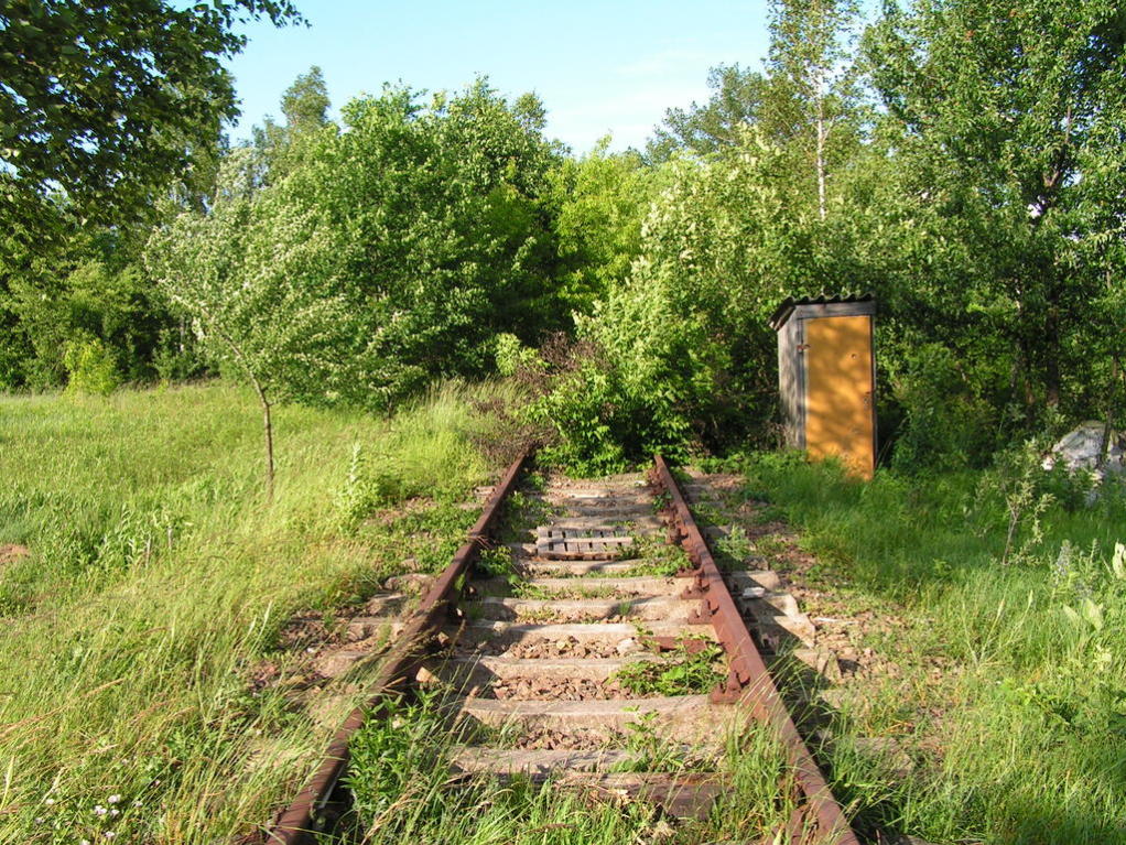 fot. Przemysław Więcek 
Bocznica do Zakładu Ogrodniczego Przyborów sp. z o.o. Ok. 0,6 km. Widok w stronę stacji Grabiny. Obraz