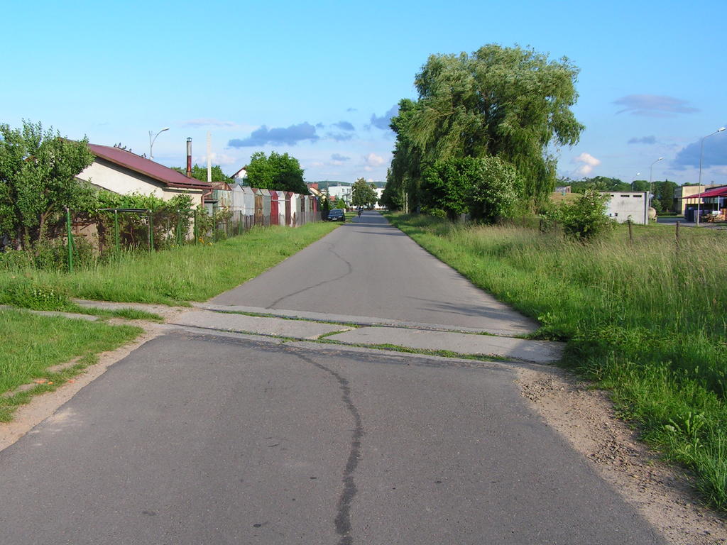 fot. Przemysław Więcek 
Bocznica do Zakładu Ogrodniczego Przyborów sp. z o.o. Ok. 2,0 km. W prawo brama wjazdowa zakładu, w lewo Grabiny. Obraz