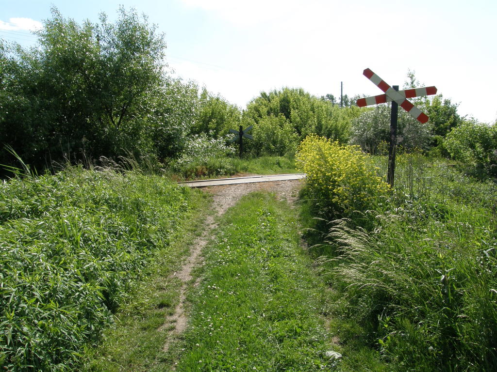 fot. Przemysław Więcek 
Bocznica do Fabryki Śrub. Przejazd na polnej drodze. 0,1 km. W prawo fabryka, w lewo stacja Łańcut. Obraz
