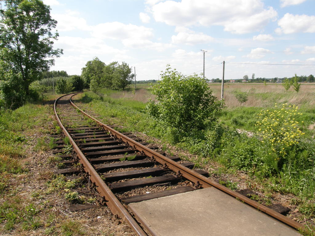 fot. Przemysław Więcek 
Bocznica do Fabryki Śrub. Przejazd na polnej drodze. 0,1 km. Widok w stronę fabryki. Obraz