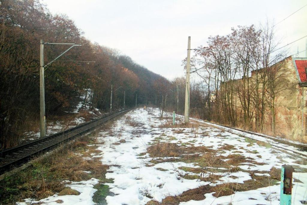 fot. octanq 
Szczecin Gocław
widok w kierunku Polic, widoczne powycinane latarnie, tor prawy nieczynny; Obraz