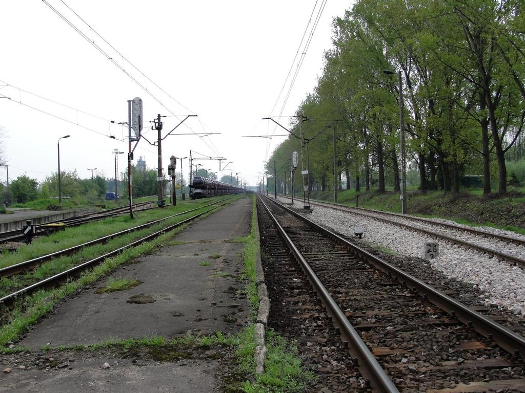 fot. Paweł Rola 
Widok na perony w kierunku wschodnim (Tarczyn/Pilawa). Obraz