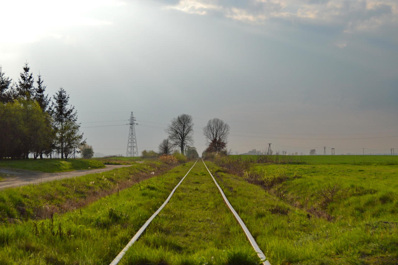 fot. Tomasz
Gniezno Winiary - Obora Wlkp. widok w kierunku Obory Wlkp. z przejazdu przy ulicy Powstańców Wielkopolskich w Gnieźnie. Obraz