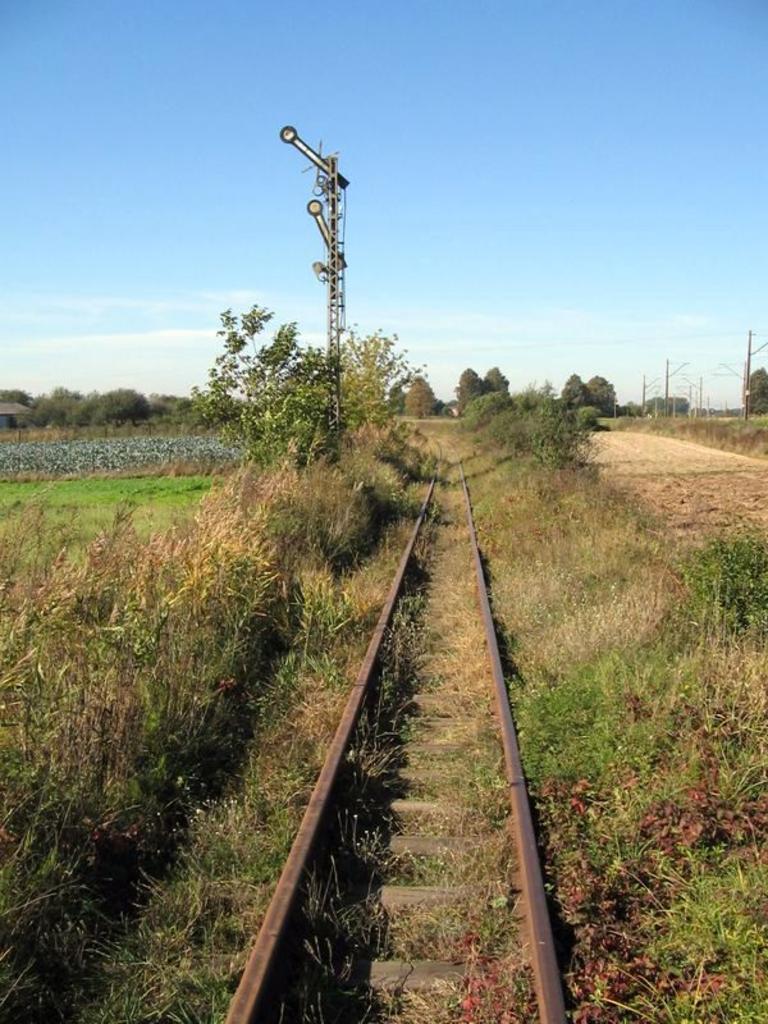 fot. Jarosław Franczyk 
Semafor wjazdowy do Nałęczowa wąskotorowego. Widok na szlak w stronę Wąwolnicy, która położona jest ok. 7 km dalej. Obraz