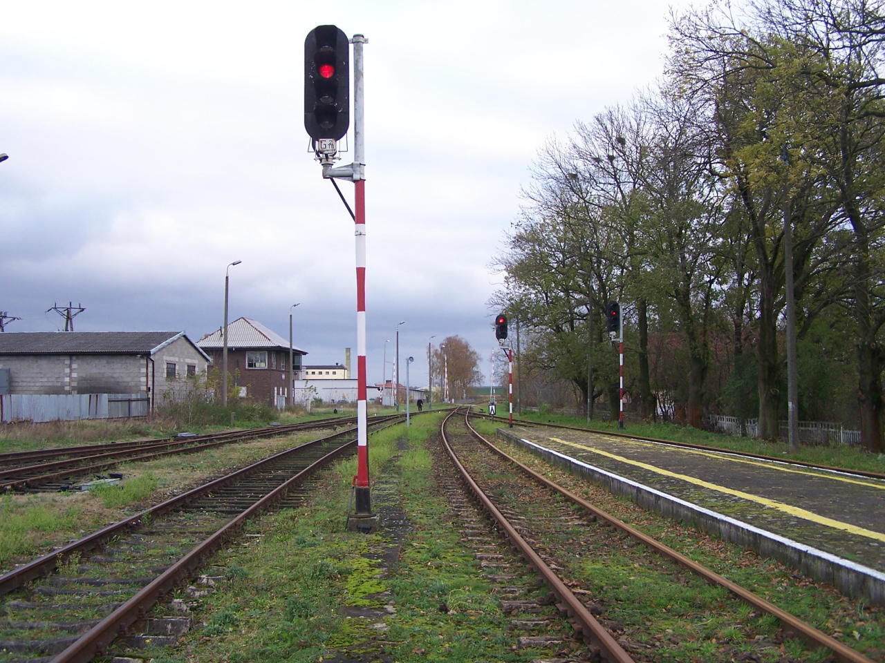 fot. Michał Sosnowski 
Widok w kierunku Płońska/Nasielska. Semafory wyjazdowe, w tle PSKP. Obraz