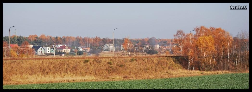 fot. Damian Stupień 
Nasyp torów odbiorczo-zdawczych. Za nasypem biegnie linia 144. Obraz