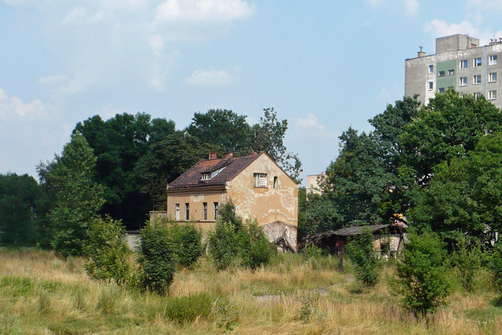 fot. Paweł Witon 
Gliwice Trynek. Obraz