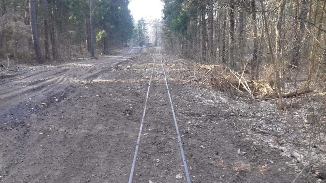fot. Paweł 
Widok w kierunku Buksztelu. Niestety tak ładnie nie jest wszędzie. Obraz