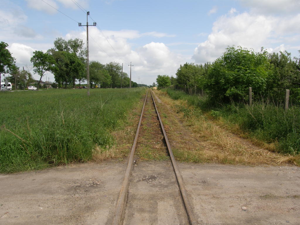 fot. Przemysław Więcek 
Widok w kierunku Rawy Mazowieckiej. 1,6 km. Obraz