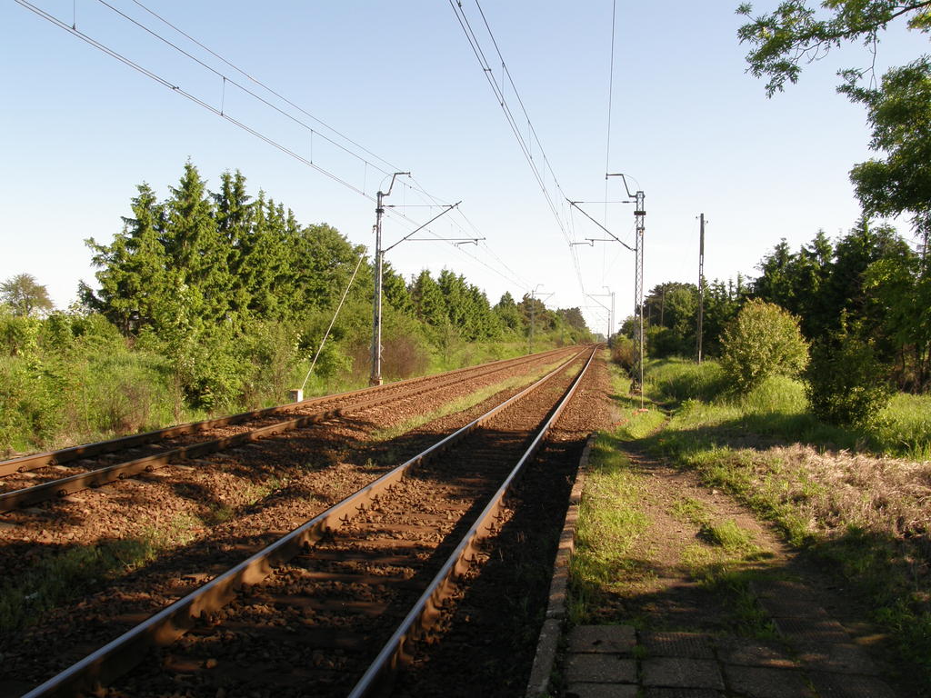 fot. Przemysław Więcek 
Peron dla pociągów w stronę Piotrkowa Trybunalskiego. Widok w kierunku Piotrkowa Trybunalskiego. 150,2 km. Obraz