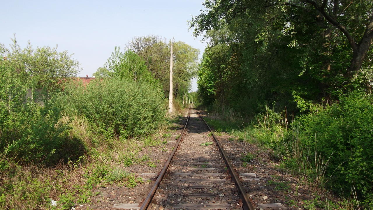 fot. Damian Grzywna 
Wrocław 22,3 km kol.
Widok w kierunku Wrocław Osobowice. Obraz
