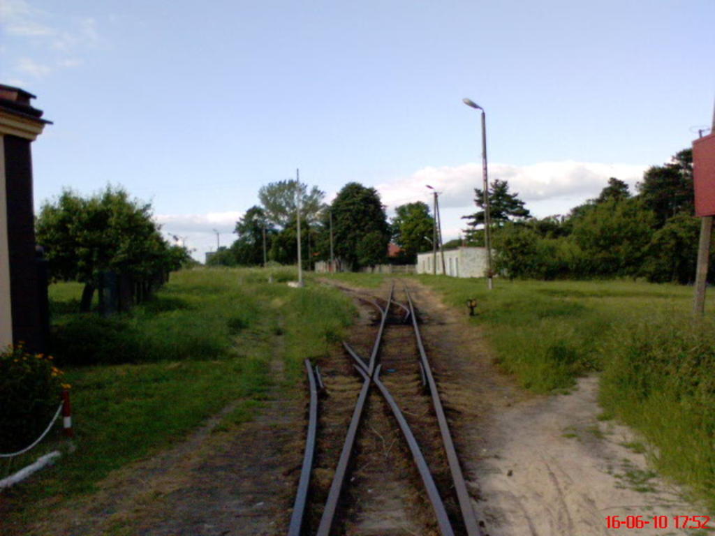 fot. Jacek F. 
Zachodnia głowica stacji Rawa Mazowiecka - wjazd od strony Rogowa. Widok w kierunku budynku stacji. Odchwaszczone tory tylko dla ruchu osobowego - dojazd w kierunku peronu i dalej Białej Rawskiej. Pozostałe tory dodatkowe dawno nieużywane. Obraz