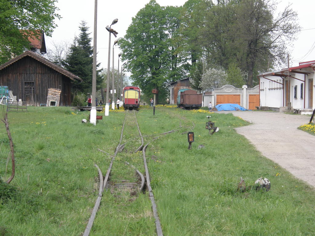 fot. Przemysław Więcek 
Południowa głowica rozjazdowa; koniec linii. Po prawej magazyny po wschodniej stronie stacji. Widok w stronę Przeworska. 46,0 km. Obraz