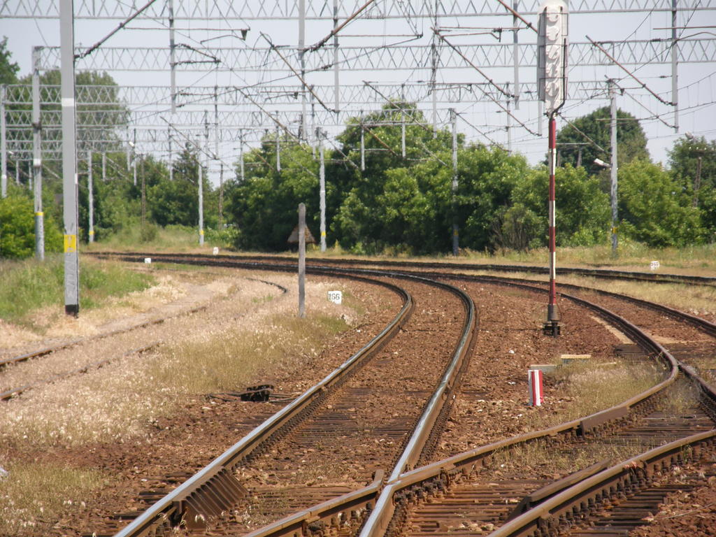 fot. Przemysław Więcek 
Głowica rozjazdowa przy peronie. Na stacji jest 5 torów głównych. Tory główne szlakowe są przedzielone jednym torem głównym dodatkowym. Widok w stronę Piotrkowa Trybunalskiego. 166,4 km. Obraz