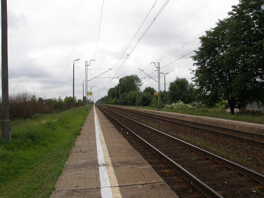 fot. Przemysław Więcek 
Perony boczne. Po prawej za drzewami budynek dworcowy. Widok w stronę Radomska. 171,5 km. Obraz