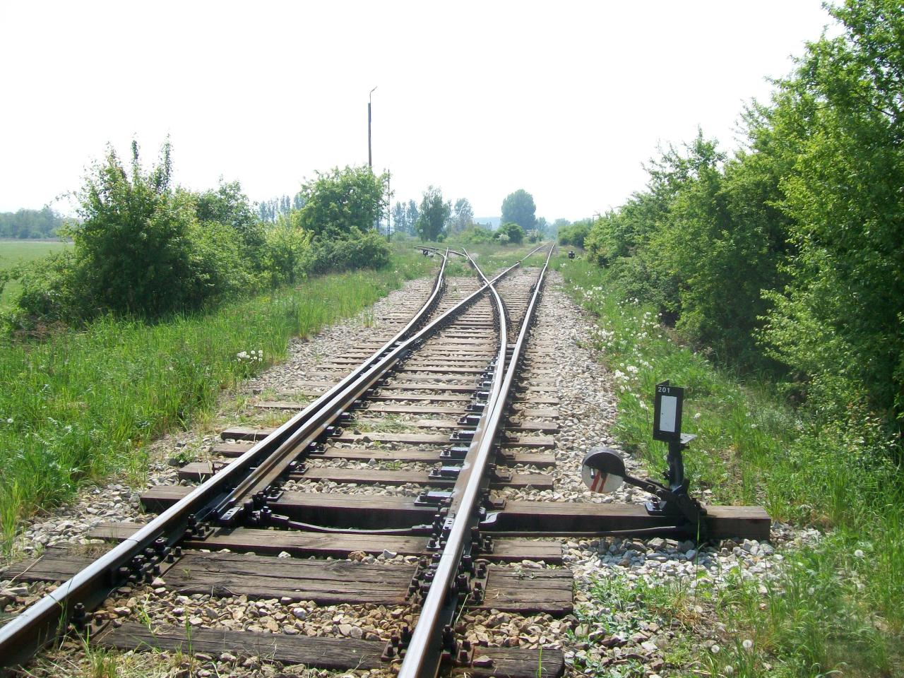 fot. wasiukibic 
Rozjazd spinający tor do fabryki wagonów (w lewo) z torem prowadzącym do stacji Świdnica Przedmieście (na wprost). Widok w kierunku południowo-zachodnim; w tle po lewej stronie punkt zdawczo-odbiorczy, w prawo (poza kadrem) tor szlakowy z Sobótki. Obraz