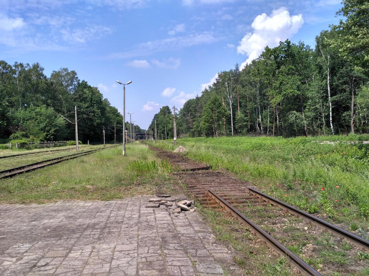 fot. Paweł N. 
Linia 148, remont stacji Gotartowice, tor numer 1. Widok w kierunku stacji Rybnik. Obraz