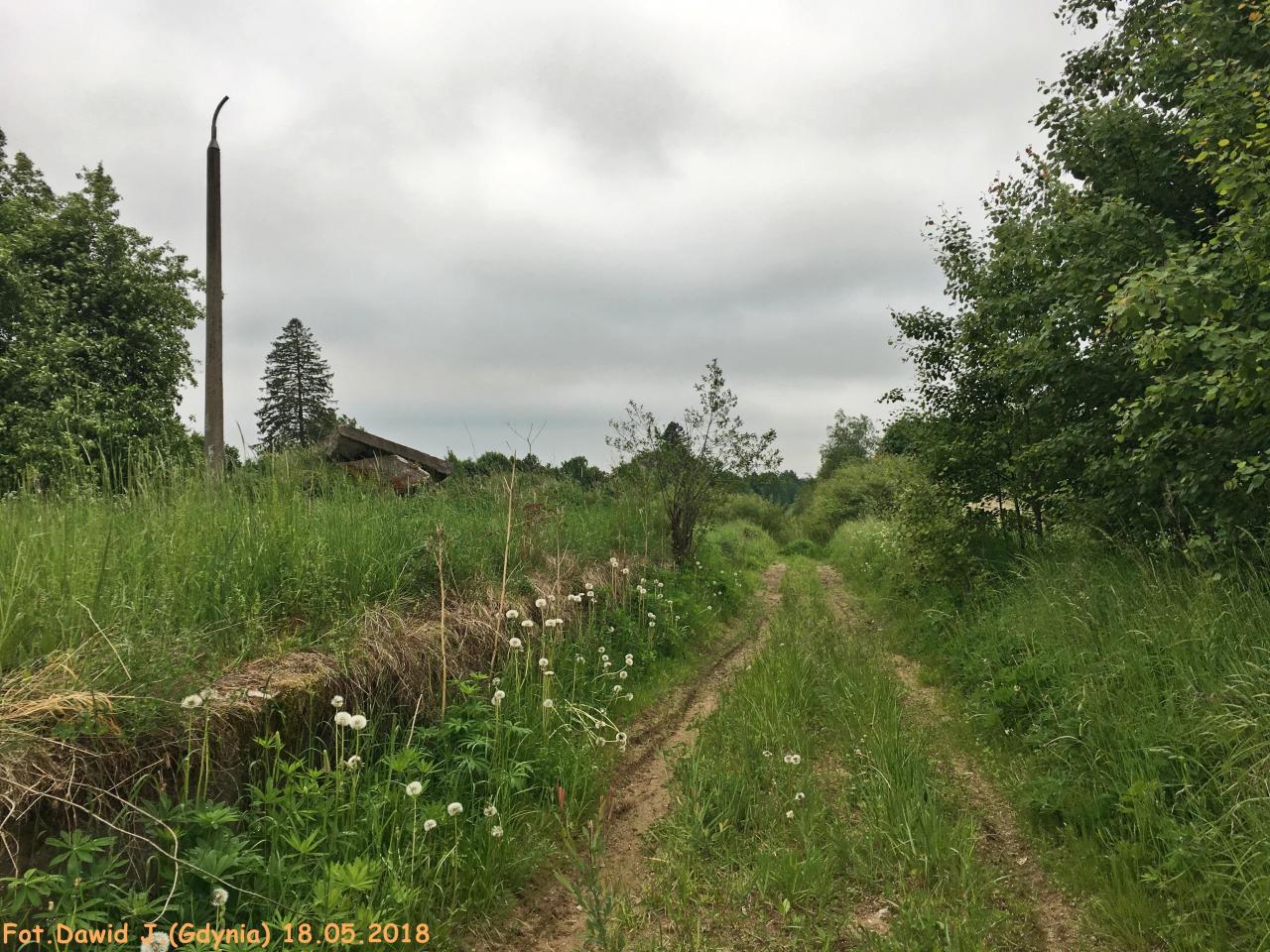 fot. Dawid Jastrzębski 
W tym miejscu kiedyś znajdowały się tory. Widok w kierunku Malborka. Obraz