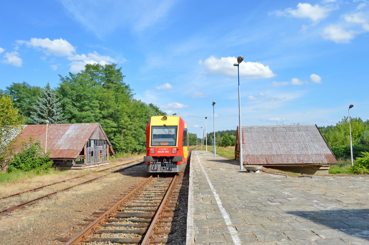 fot. Tomasz 
Susiec odjazd poc. 23604 do Rzeszowa Gł. Widok w kierunku Bełżca/Rzeszowa. Obraz
