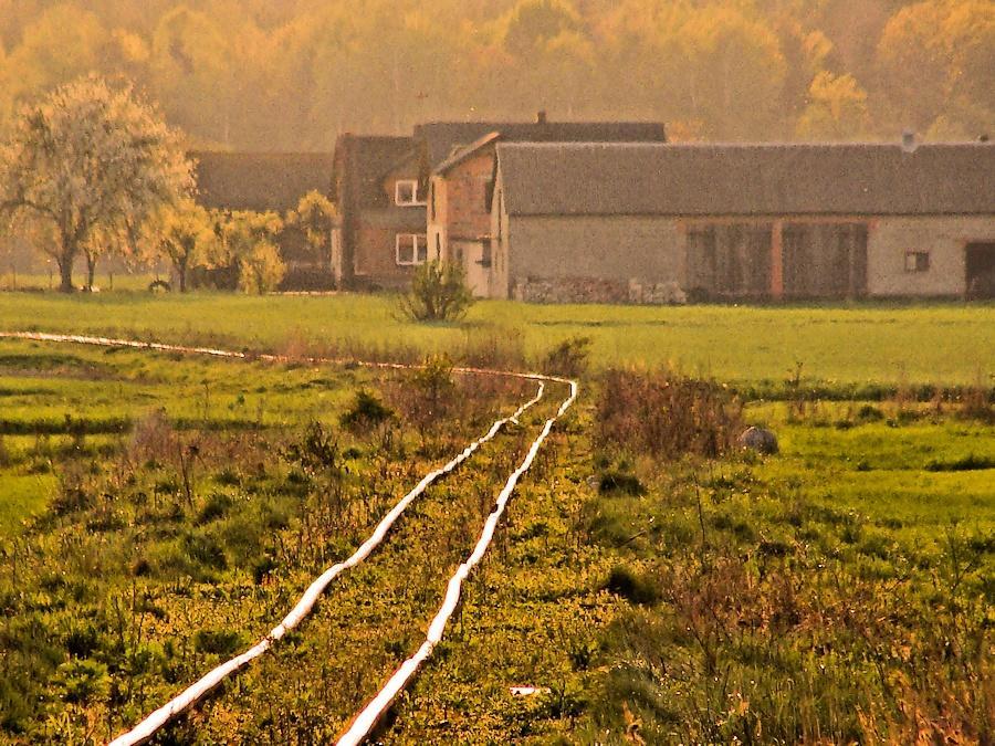 fot. Michał Kłosowski 
Szlak kolei wąskotorowej pomiędzy Jeżowem, a Rogowem na wysokości wsi Marianów. Obraz